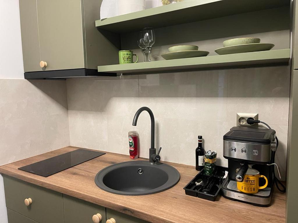 Apartamento Magic Green Studio Hunedoara Exterior foto